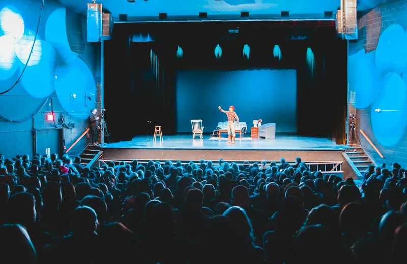 Audience watching a live show on a lit theatre stage — ViviMate entertainment